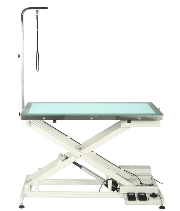 FT-829 Grooming Table with LED Light W/ FREE CYCLONE DRYER (Free Shipping)